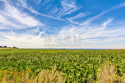 农业,居住区,德国,白云山脉,高动态范围成像,不确定,消失点,水,天空,褐色