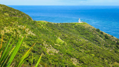 cape reinga,新的,西兰岛,水平画幅,新西兰,northland region,户外,海滩,自然,地形