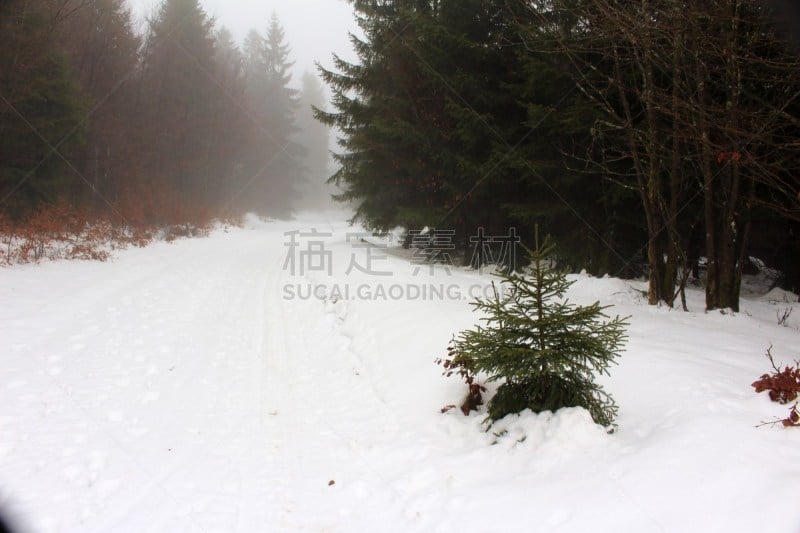 温度,水平画幅,套色版,雪,冬天,风景,深雪,雪花,自然,自然现象