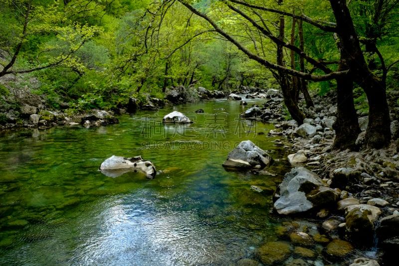 伍德里昂,水,美,水平画幅,湿,夏天,户外,在底端,树荫,希腊