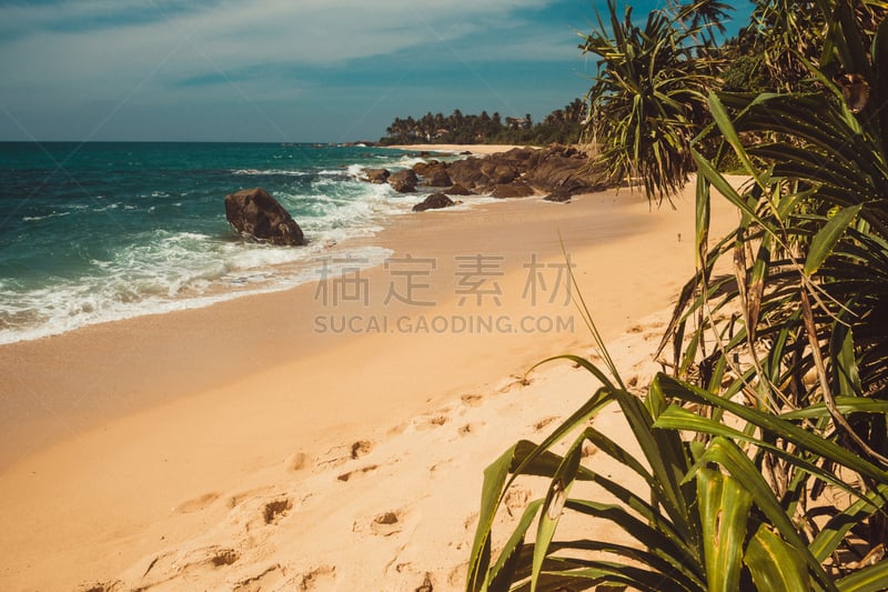 留白,海滩,地形,印度洋,生态旅游,斯里兰卡,海岸线,树,旅行