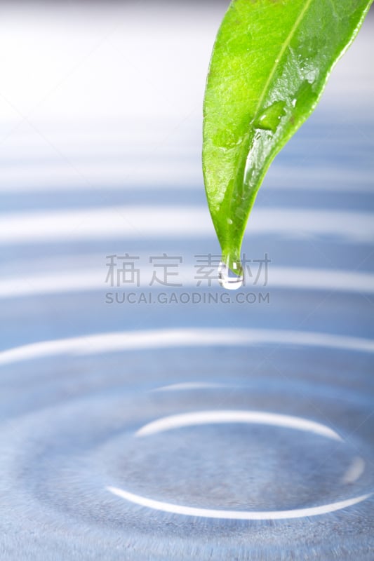 水,波纹,垂直画幅,留白,富营养化水体,无人,纯净,夏天,特写,植物