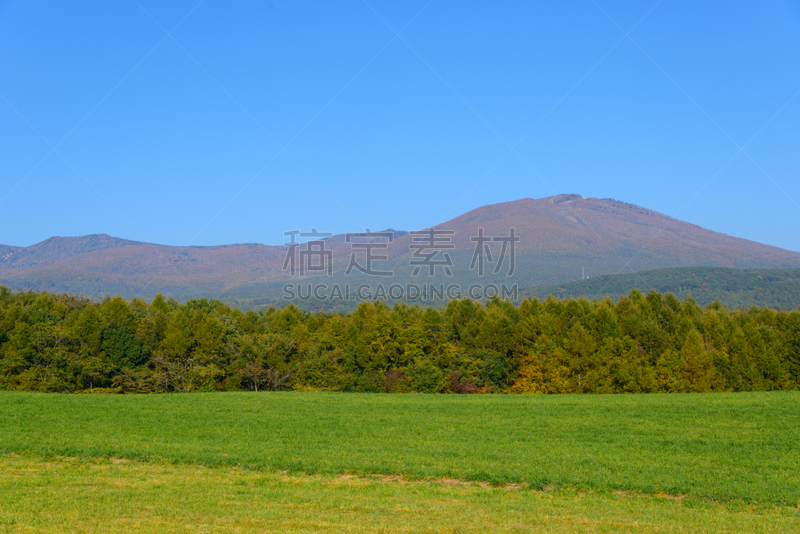 八幡平市,叶子,秋天,山,鹿角市,秋田县,日本秋田犬,天空,里山,水平画幅