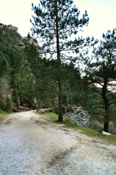小路,冬天,绿色,地形,山,植物群,在之间,山脊,清新,风