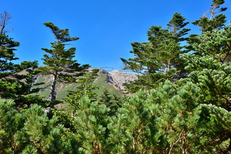 长野县,日本,山,动物足,御岳山,自然,水平画幅,无人,东亚,户外