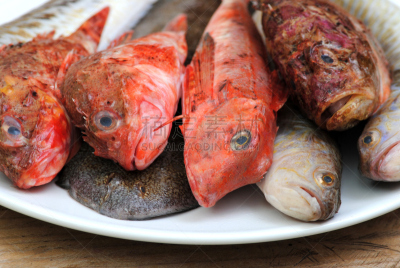 鱼类,海洋,鲑,水平画幅,生食,捕捞鱼,海产,sea robin,清新,食品
