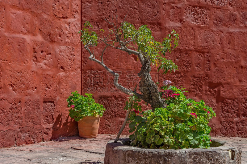 秘鲁,圣塔卡塔利纳修女院,阿雷基帕地区,修道院,红色,水平画幅,无人,色彩鲜艳,多色的,摄影