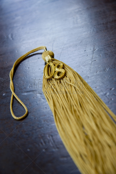 2008,指导教师,垂直画幅,大学,穗,高中生,事件,图像,摄影,毕业