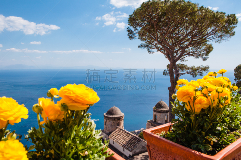 阿玛菲海岸,拉韦洛,风景,意大利,云,园林,松树,梯田,地中海,院子