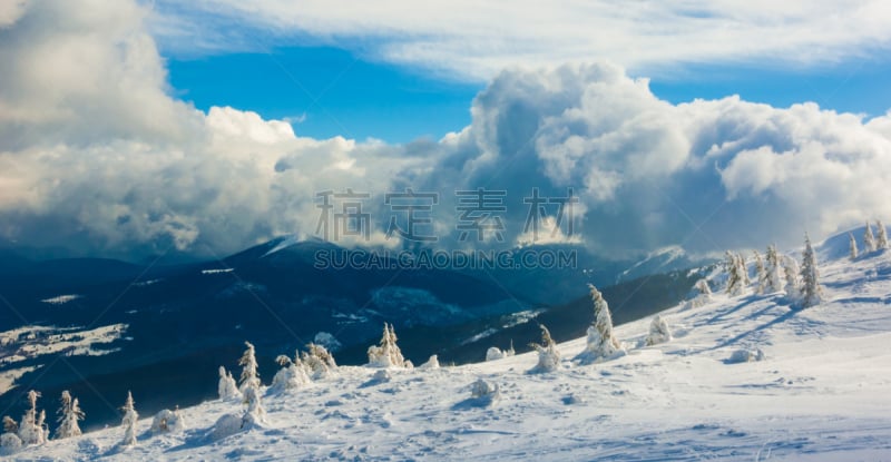 雪,冬天,山,清新,有包装的,风,水平画幅,户外,针叶树