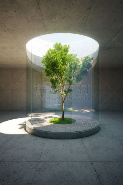 三维图形,混凝土,室内,太空,空的,几何形状,地板,围墙,模板,草