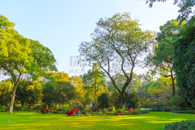 杭州,风景,俄亥俄河,西湖,水,天空,夏天,光,湖