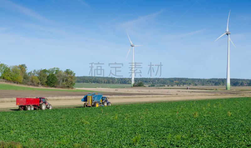 拖拉机,田地,环境,天空,水平画幅,风力,户外,制糖用甜菜,两个物体,甜菜