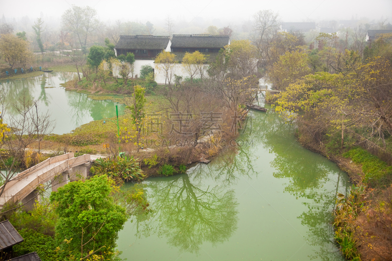 自然美,风景,西溪湿地,死河,灌木林,水,美,公园,水平画幅,无人