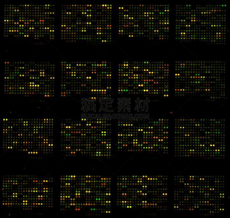 绿色,红色,基因组学,大规模的放大,纳米技术,生物科技,水平画幅,无人,科学,生物学