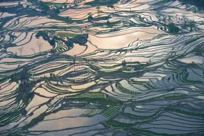 稻,梯田,缅甸,水平画幅,研磨食品,泥土,户外,马来西亚,水稻梯田,龙脊梯田