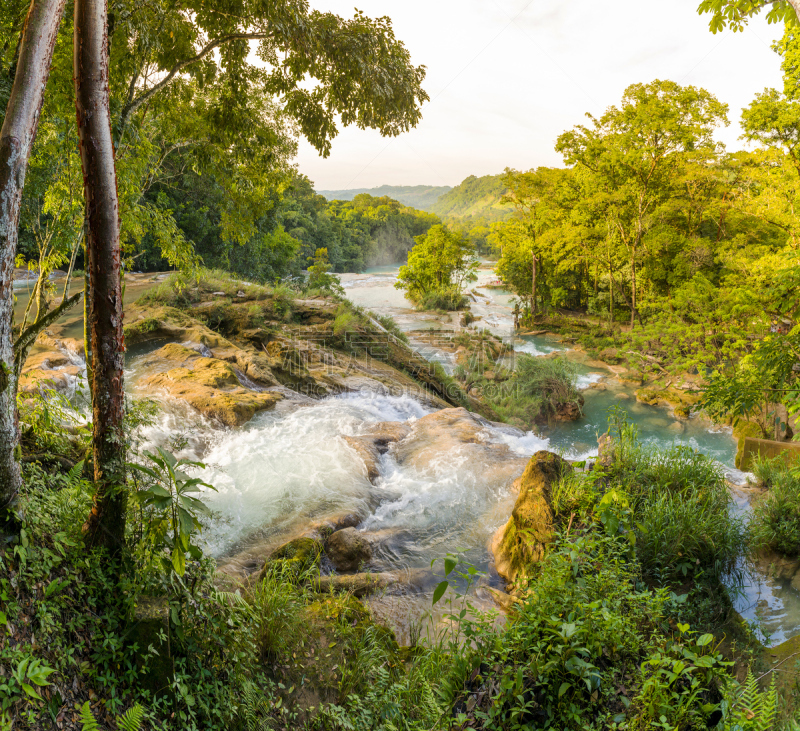 agua azul cascades,墨西哥,水,水平画幅,枝繁叶茂,瀑布,无人,热带雨林,户外,干净