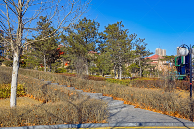 秦皇岛,公园,天空,灯笼,水平画幅,无人,户外,灯,都市风景