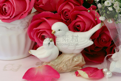 玫瑰,情人节,背景聚焦,复古,书,水平画幅,无人,纪念品,鸟类,装饰物