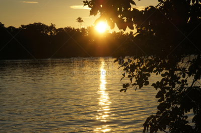 tortuguero national park,里蒙省,哥斯达黎加,自然,南美,野生动物,美国,水平画幅,无人,热带雨林