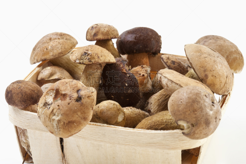 篮子,特写,黄色,褐色,水平画幅,无人,食物的样式,食用菌,真菌,容器