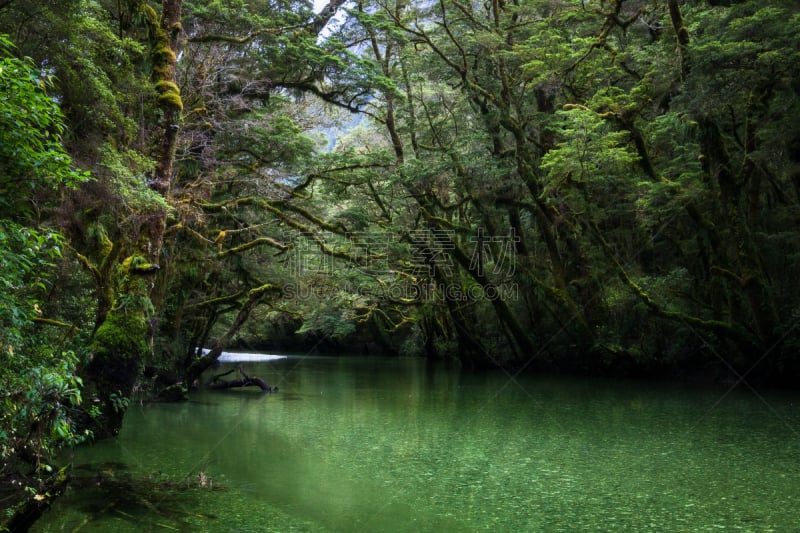 milford track,新西兰,doubtful sound,热带气候,世界遗产,南地大区,湖,小路,河流,瀑布