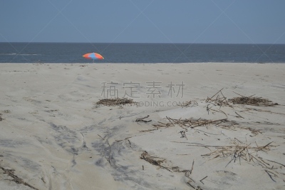 圣西蒙岛,水湾,圣马洛,圣伯纳犬,海岸线,美国,海滩,水平画幅,无人,摄影