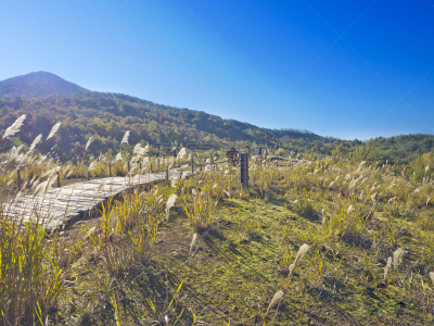 温泉,户矢子,火山口,小路,自然,国家公园,水平画幅,山,日本,户外