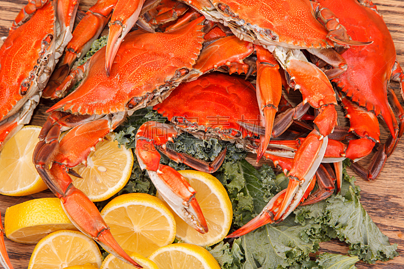 螃蟹,蒸菜,热,大洋城,煮食,水平画幅,符号,膳食,海产,蓝蟹