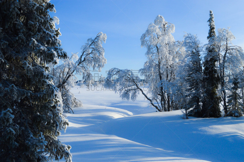 诺尔兰德,瑞属拉普兰,深雪,瑞典,水平画幅,冬天,雪,无人,户外,小溪