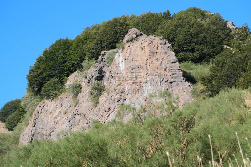 灌木,岩面,埃特纳火山,西西里,公园,背景,天空,水平画幅,无人,火山地形