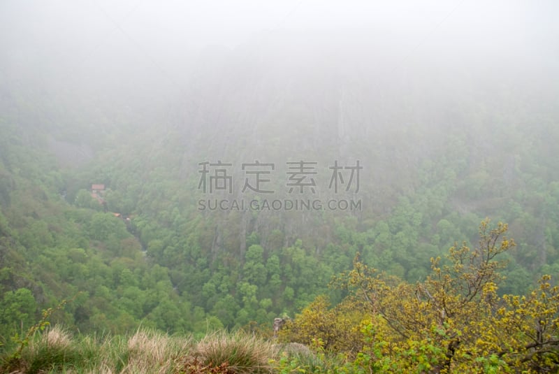 哈尔茨山,哈兹国家公园,菌体,自然,水平画幅,地形,无人,浪漫,户外,树林