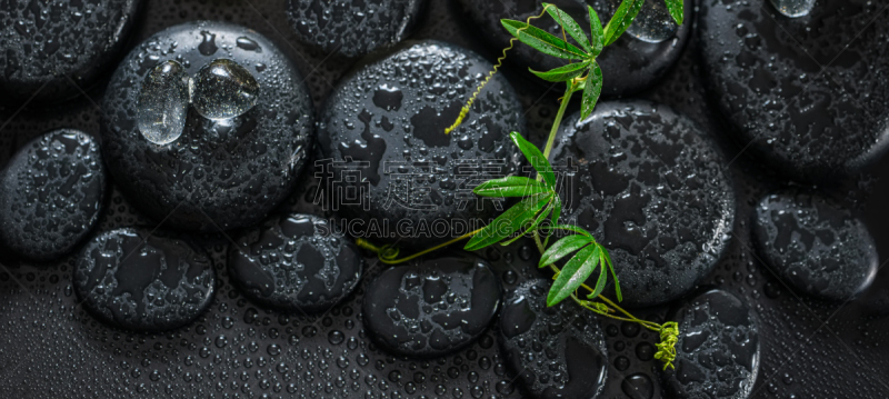 嫩枝,静物,自然美,spa美容,绿色,水平画幅,无人,特写,卷须,鹅卵石