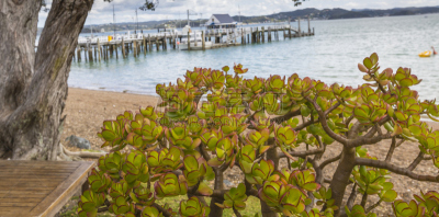 新西兰,bay of islands,russell,派希亚镇,自然,水平画幅,山,无人,蓝色,全景