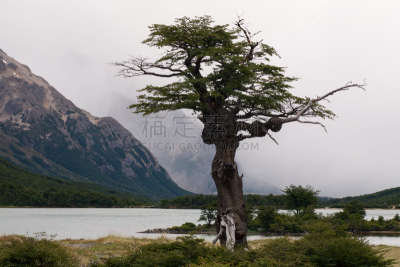 湖,山,水平画幅,户外,干的,天气,暗色,环境,鱼和薯条店,树