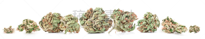 白色背景,健康保健,草药,分离着色,替代疗法,蠢人,女性,组物体,白色,绿色
