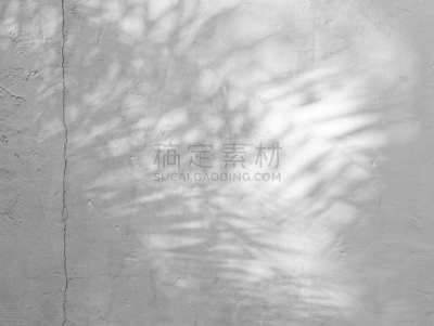 阴影,叶子,纹理,抽象,背景,黑白图片,混凝土墙,美,艺术,水平画幅