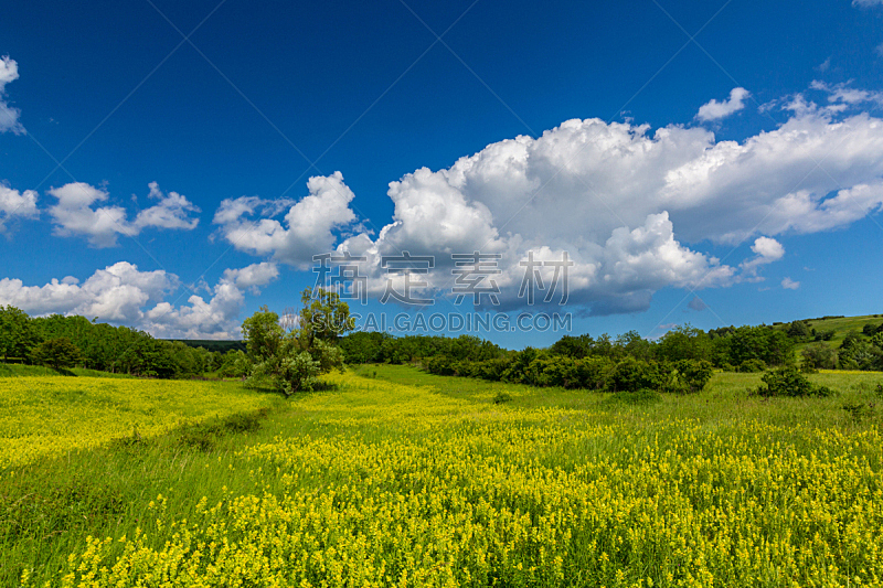 天空,云景,蓝色,欧洲,黄色,自然美,草地,芸苔,暴风雨,气候