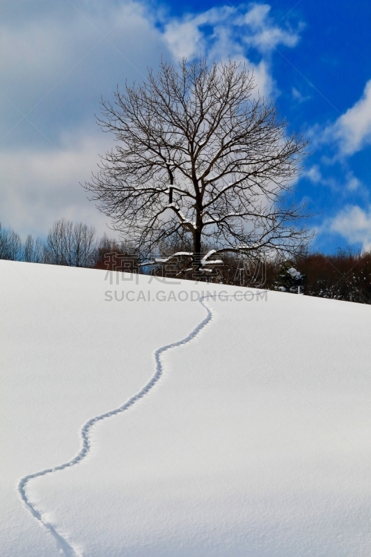 冬天,雪,山,脚印,一个物体,垂直画幅,雪地,爪印,云,图像