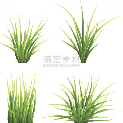 草,矢量,莎草,刀刃,灌木,植物学,枝,草本,有机食品,草坪