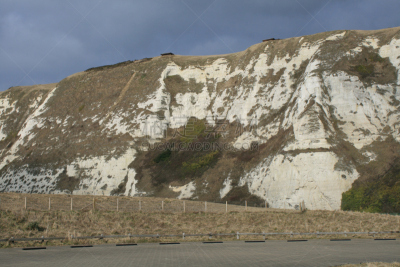 海蓬子属植物,多佛的白色悬崖,white cliffs,多佛,肯特,海岸线,悬崖,海滩,水平画幅,肯特岛