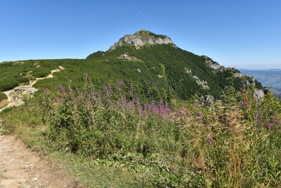 山,罗马尼亚,地形,卡帕锡安山脉,黑云杉,天空,水平画幅,无人,十字形,地肤