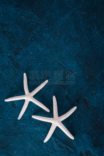 海星,旅游目的地,背景,夏天,蓝色背景,贺卡,海滨雏菊,摩纳哥,垂直画幅,绘画插图