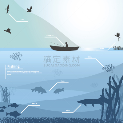 鱼类,船,渔夫,湖,水下,黑斑狗鱼,信息图表,钓竿,海洋,钓鱼