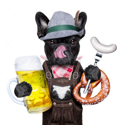 狗,啤酒,puggle犬,皮短裤,小牛肉香肠,紧身连衣裙,法国斗牛犬,慕尼黑,椒盐饼干,饮料