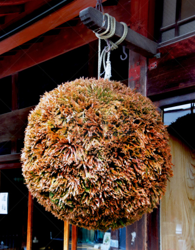 特写,中国米酒,酿酒厂,垂直画幅,球,无人,符号,日本,嫩枝,商店