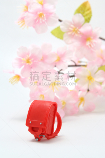 樱花,白色背景,欧洲赤松,垂直画幅,无人,椅子,未成年学生,行李,知识,小雕像