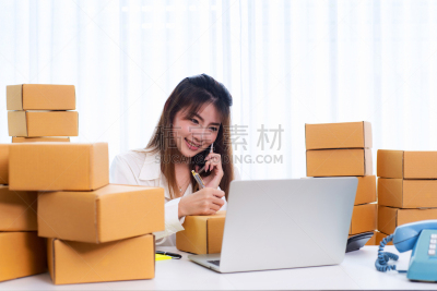 业主,商务人士,电子商务,女人,家庭工作间,概念,顾客,工作,打电话,通信