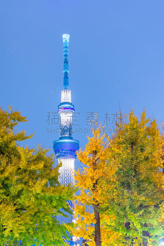 日本,东京,天空树,新宿车站,秋叶原,原宿区,涉谷站,六本木,富士山,商务