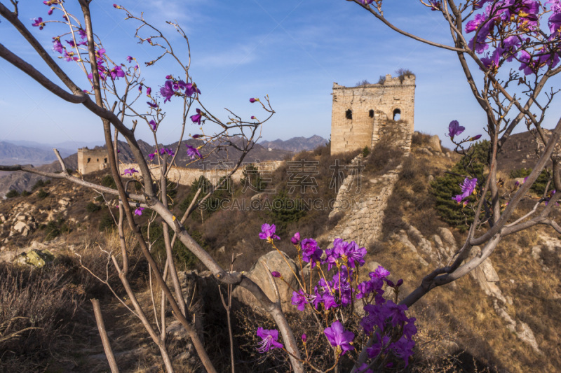 长城,天空,旅行者,夏天,草,过去,仅一朵花,明亮,彩色图片,运动场